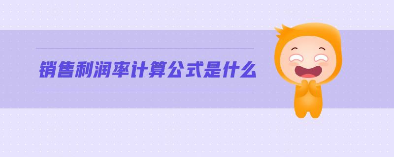 銷售利潤率計(jì)算公式